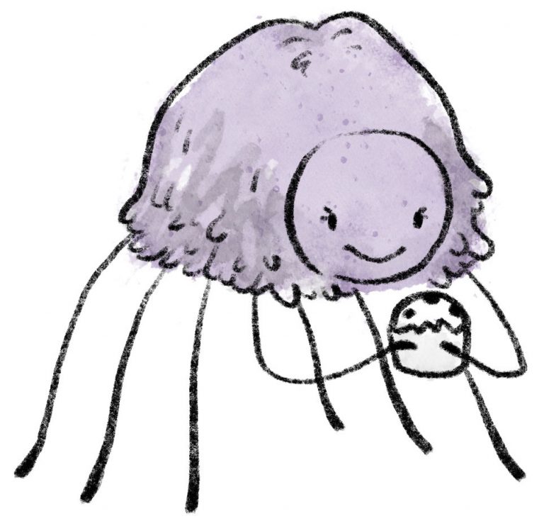 Mirabelle - The creative spider